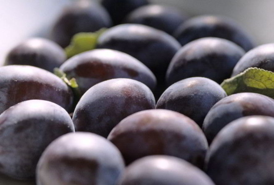 Компот из чернослива на зиму