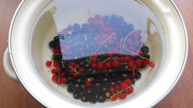 компот из красной и черной смородины