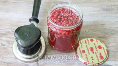 компот из красной смородины на зиму