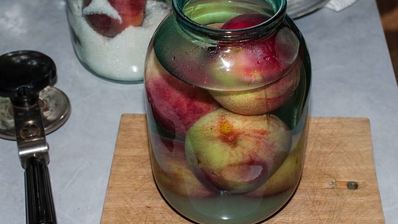 компот из персиков на зиму