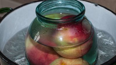 компот из персиков на зиму