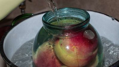 компот из персиков на зиму