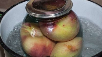 компот из персиков на зиму