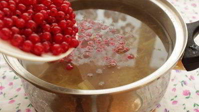 компот из ревеня и красной смородины