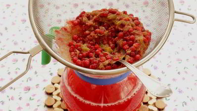 компот из ревеня и красной смородины