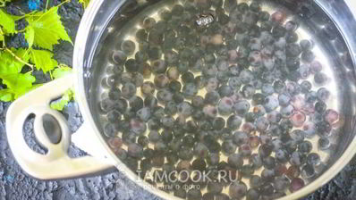 компот из синего винограда на зиму