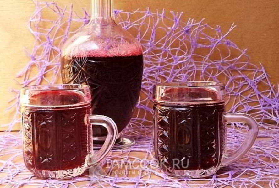 Компот из жимолости