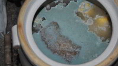 консервированная кукуруза в початках на зиму