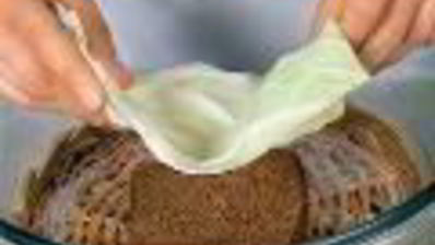 квашеная капуста