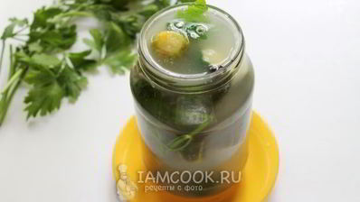 квашеные огурцы в банках