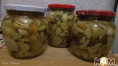 белые грибы маринованные