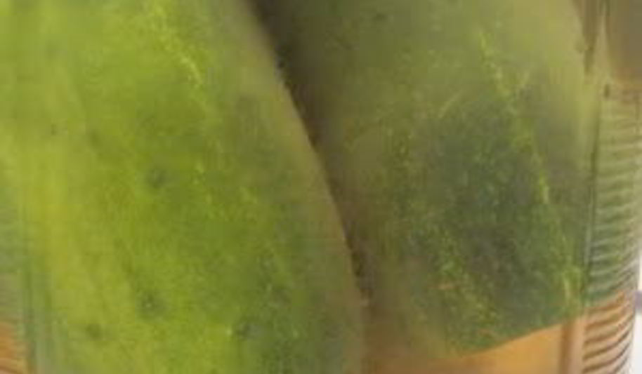 Рецепт быстрых маринованных огурцов на зиму