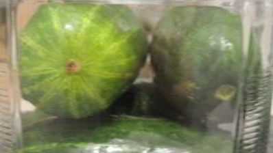 быстрые маринованные огурцы на зиму