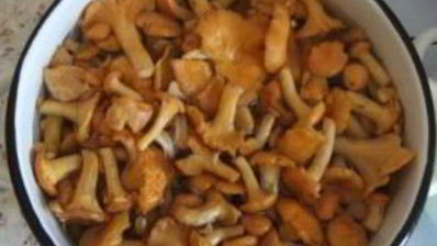 лисички маринованные