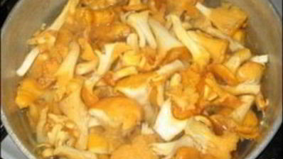 лисички маринованные