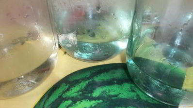 маринованная капуста с яблоками и морковью на зиму