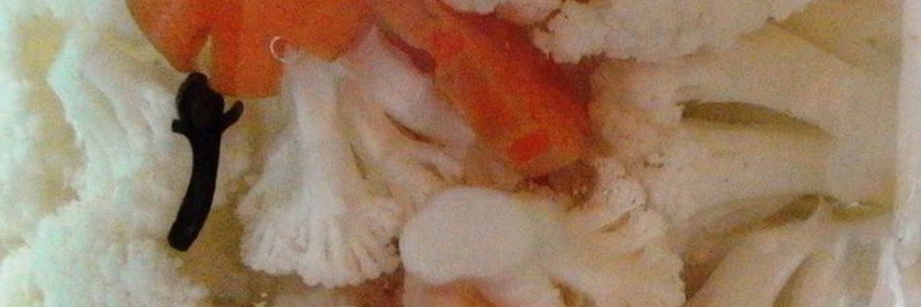 Маринованная цветная капуста с морковью