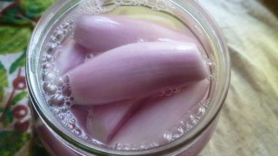 маринованный лук с перцем и базиликом