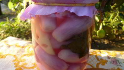 маринованный лук с перцем и базиликом