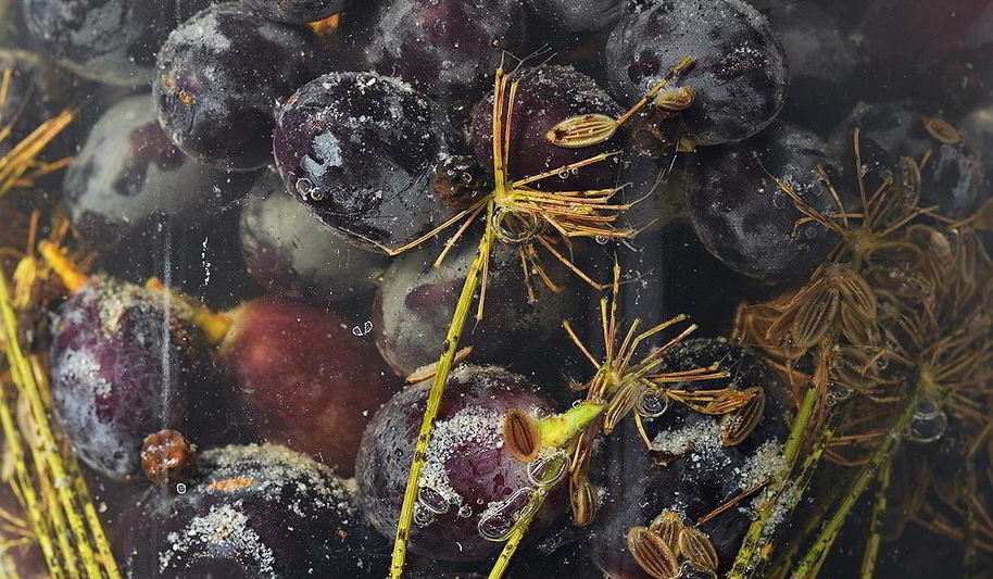 Рецепт маринованного винограда