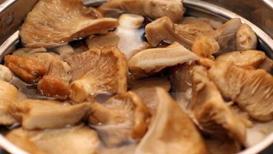 маринованные грузди