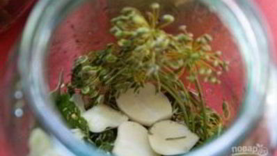 маринованные корнишоны в банках