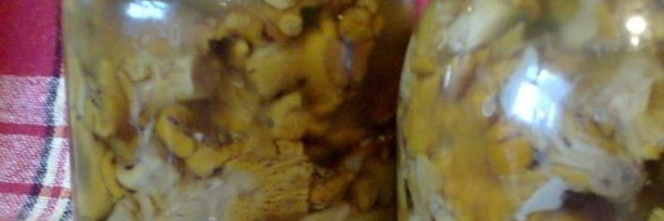Маринованные лисички на зиму