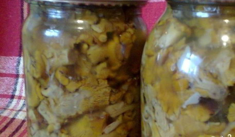 Рецепт маринованных лисичек на зиму