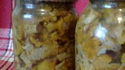 маринованные лисички на зиму