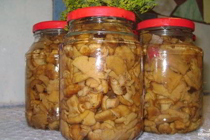 Маринованные лисички с луком