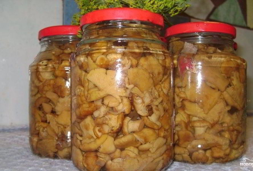 Маринованные лисички с луком