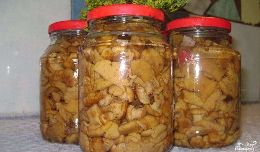 Рецепт маринованных лисичек с луком