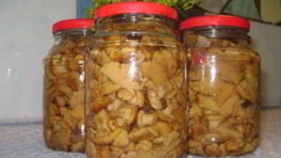 маринованные лисички с луком