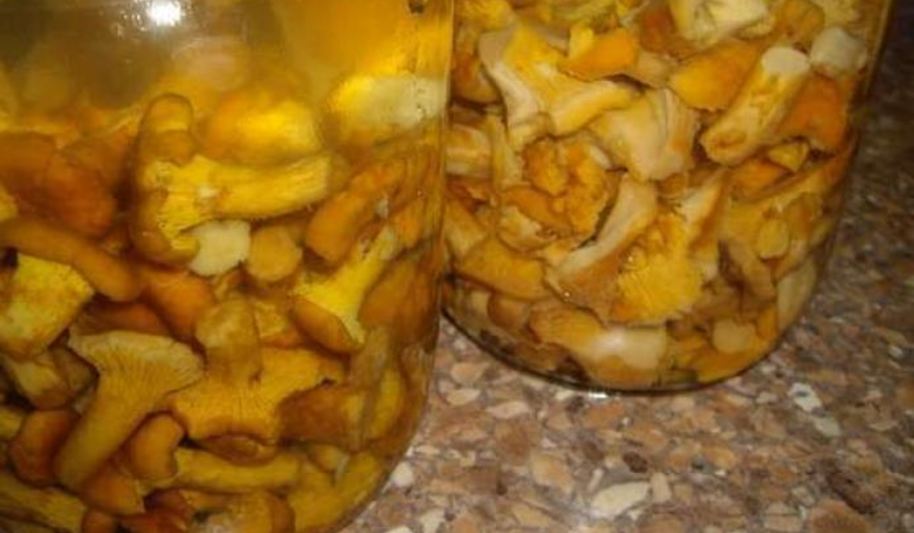 Рецепт маринованных лисичек