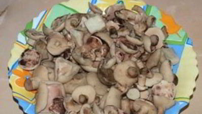 маринованные маслята на зиму