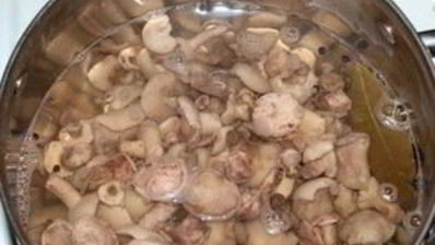 маринованные маслята на зиму