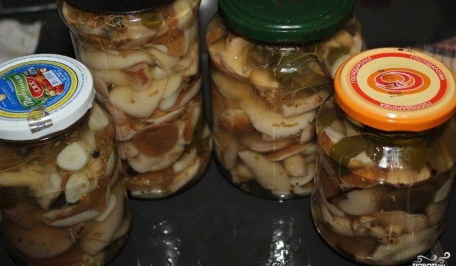 Рецепт маринованных маслят в масле