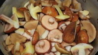 маринованные маслята в масле