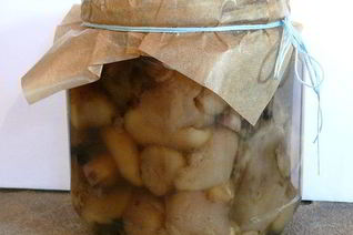 Маринованные маслята в собственном соку