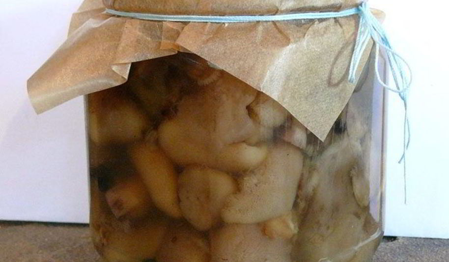 Рецепт маринованных маслят в собственном соку
