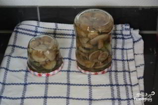 Маринованные маслята за сутки