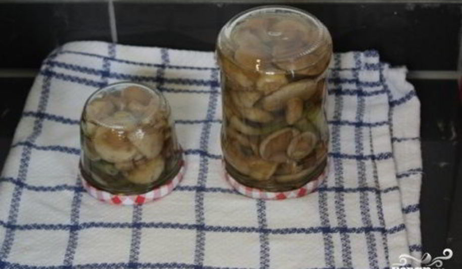 Рецепт маринованных маслят за сутки