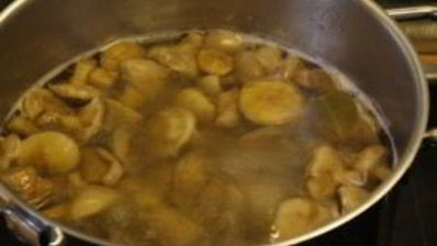 маринованные маслята за сутки