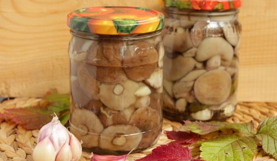 Рецепт маринованных маслят