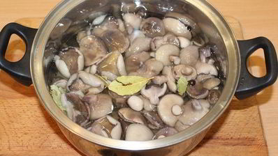 маринованные маслята