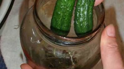 маринованные огурчики