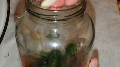 маринованные огурчики