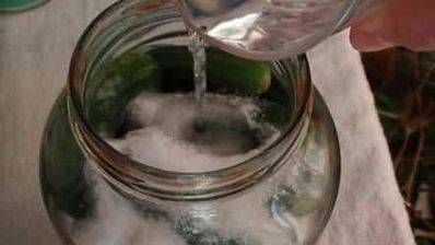 маринованные огурчики