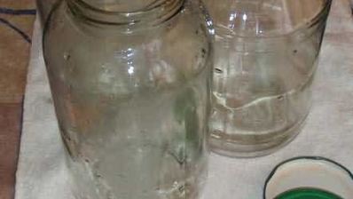 маринованные огурчики