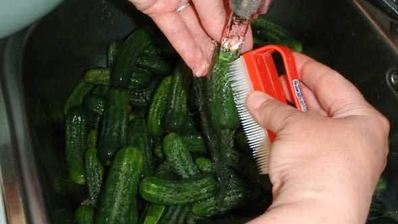 маринованные огурчики